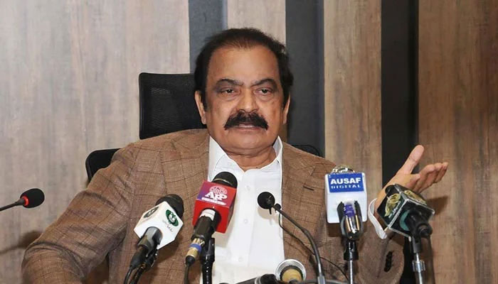 rana sana