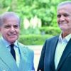 shebaz sharif