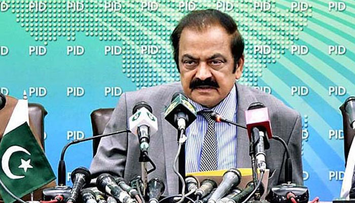 rana sana